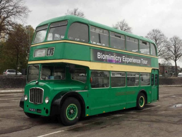 vervoer voor bedrjfsuitje en promotierit groene engelse bus